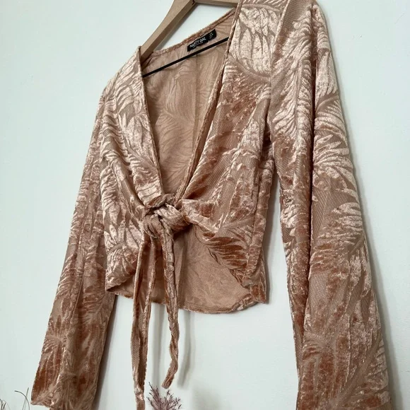 Nasty Gal Crushed Velvet Bell Sleeve Crop Top - Pink - US Size 2 - Picture 3 of 5